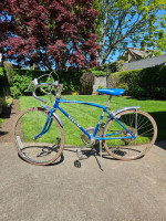 Schwinn Collegiate