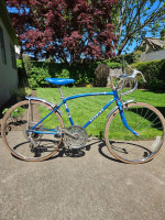 Schwinn Collegiate