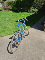 Schwinn Collegiate
