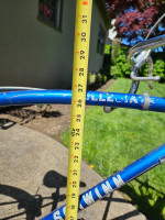 Schwinn Collegiate