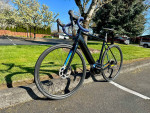 Cannondale synapse neo1 electric bike size large