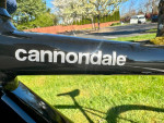Cannondale synapse neo1 electric bike size large
