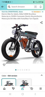 Electric bikes