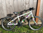 Frog Bike 55