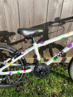 Frog Bike 55