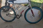 Raleigh Rainier sscx single speed