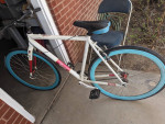 Raleigh Rainier sscx single speed