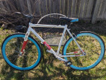 Raleigh Rainier sscx single speed