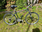 1Trek, 1Schwinn