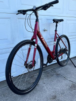 TREK VERVE 2 DISC (Large)
