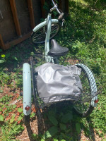 Schiwinn tricycle Aluminum