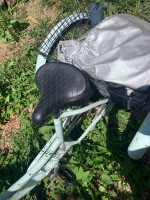 Schiwinn tricycle Aluminum
