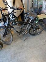 Pedego Interceptor & Comfort Cruiser Electric Bikes