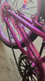 Girl's Bike