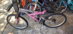 Next power climber, Trek, Schwinn (3)bikes