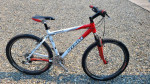 Giant Iguana Mountain Bike
