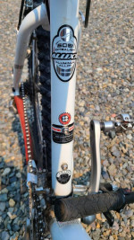 Giant Iguana Mountain Bike
