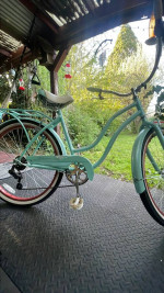 Schwinn Cruiser
