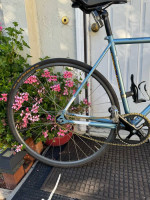 Cinelli Gazetta 50.5cm Teack Bike