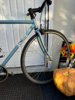 Cinelli Gazetta 50.5cm Teack Bike