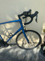 Trek Domane AL 62cm Claris