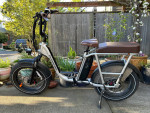 Radrunner Plus EBike w/Hydraulic Disc Brakes