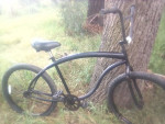 Beach Cruiser