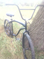 Beach Cruiser