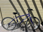 Bianchi Mountain Bike x2