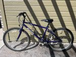 Bianchi Mountain Bike x2