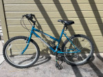 Mountain Tamer mountain bike