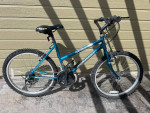 Mountain Tamer mountain bike