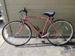 Motiv Hybrid Mountain bike