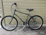 Raleigh 7 speed Mountian Bike