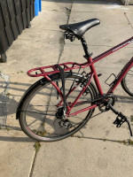 Momentum Street 7 Speed Commuter Bike