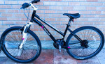 Fuji Eddy Mountain Bicycle