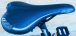 Fuji Eddy Mountain Bicycle