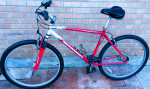 Schwinn Mesa LE Mountain Bike