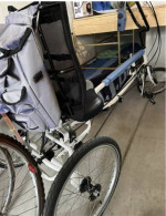 Recumbent trike