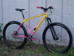 Raleigh XXIX mountain bike