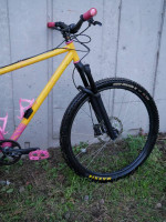 Raleigh XXIX mountain bike