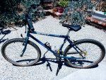Mint Condition Scott Chenango Adventure 16" Frame MTB Mountain Bike