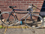 Trek 520