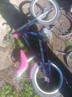 Two Schwinn stingrays