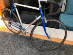 Shogun Team Issue Rare Vintage Road Bicycle 56C
