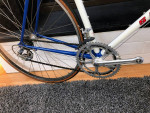 Shogun Team Issue Rare Vintage Road Bicycle 56C