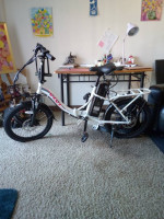 E-Bike perfect condition