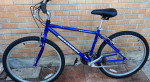 Schwinn Frontier Mountain Bike