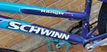 Schwinn Ranger 2.4 FS Youth Bicycle