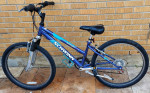Schwinn Ranger 2.4 FS Youth Bicycle